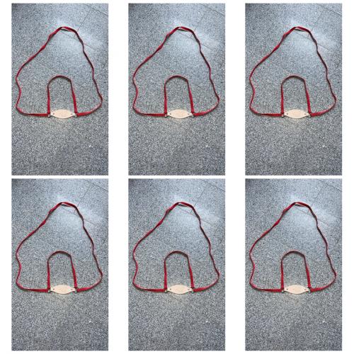 6 x Pferdeleine Leder/Nylon